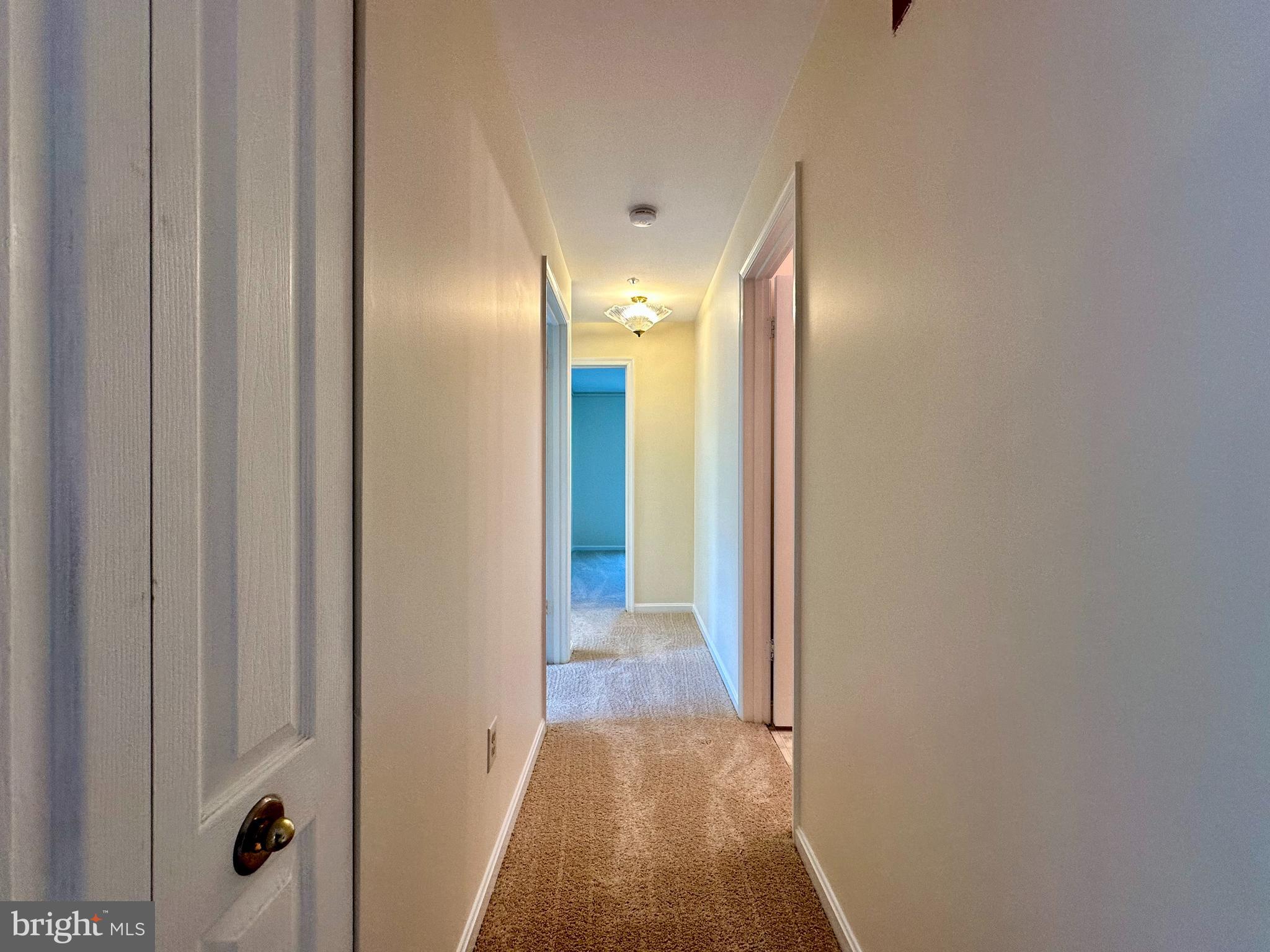 8493 Falls Run Road, Unit D Ellicott City, MD 21043 - Photo 20 of 44 Hallway with brand new carpet. paint