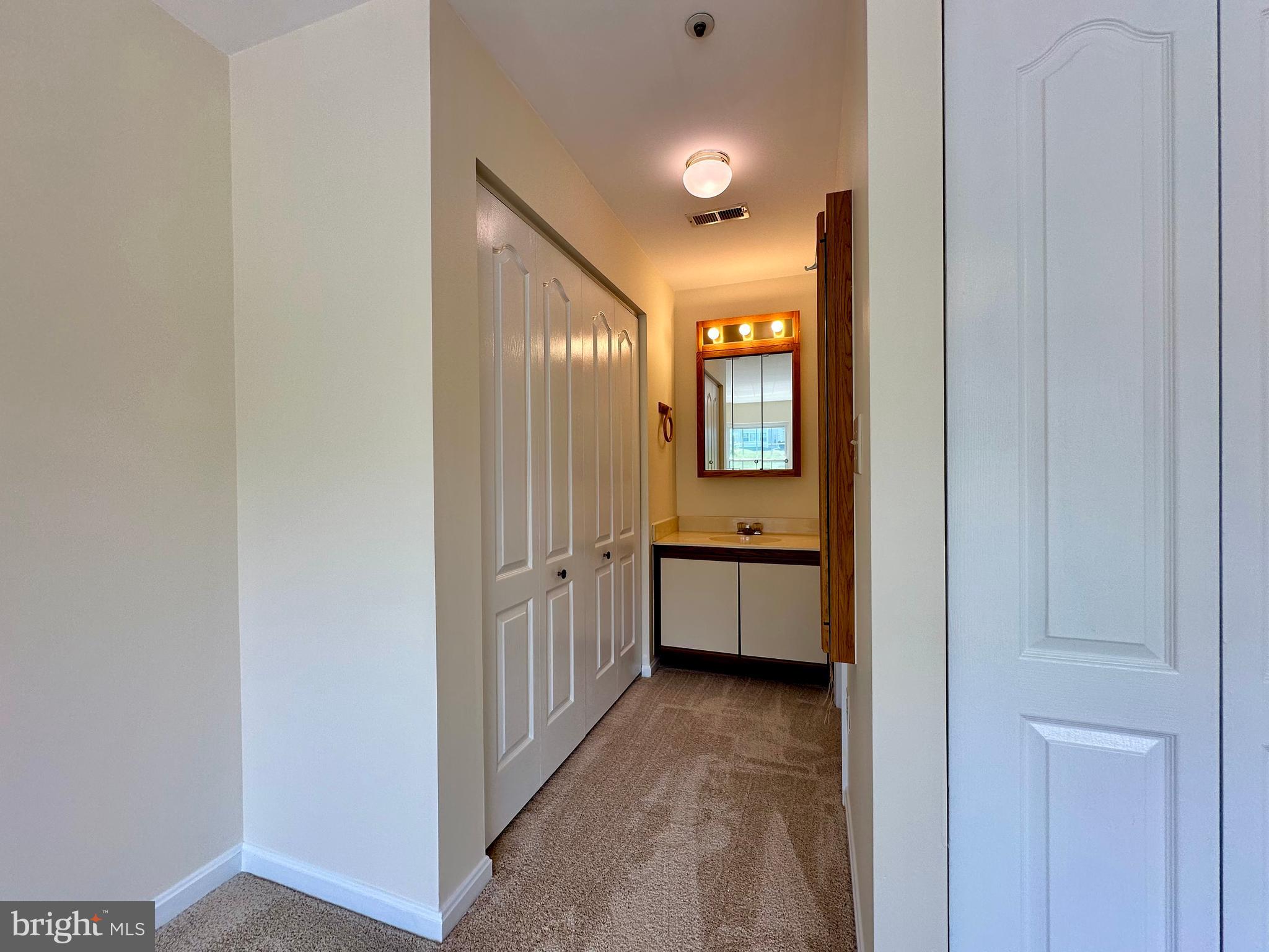 8493 Falls Run Road, Unit D Ellicott City, MD 21043 - Photo 34 of 44 Primary bedroom second closet, sink/prep area