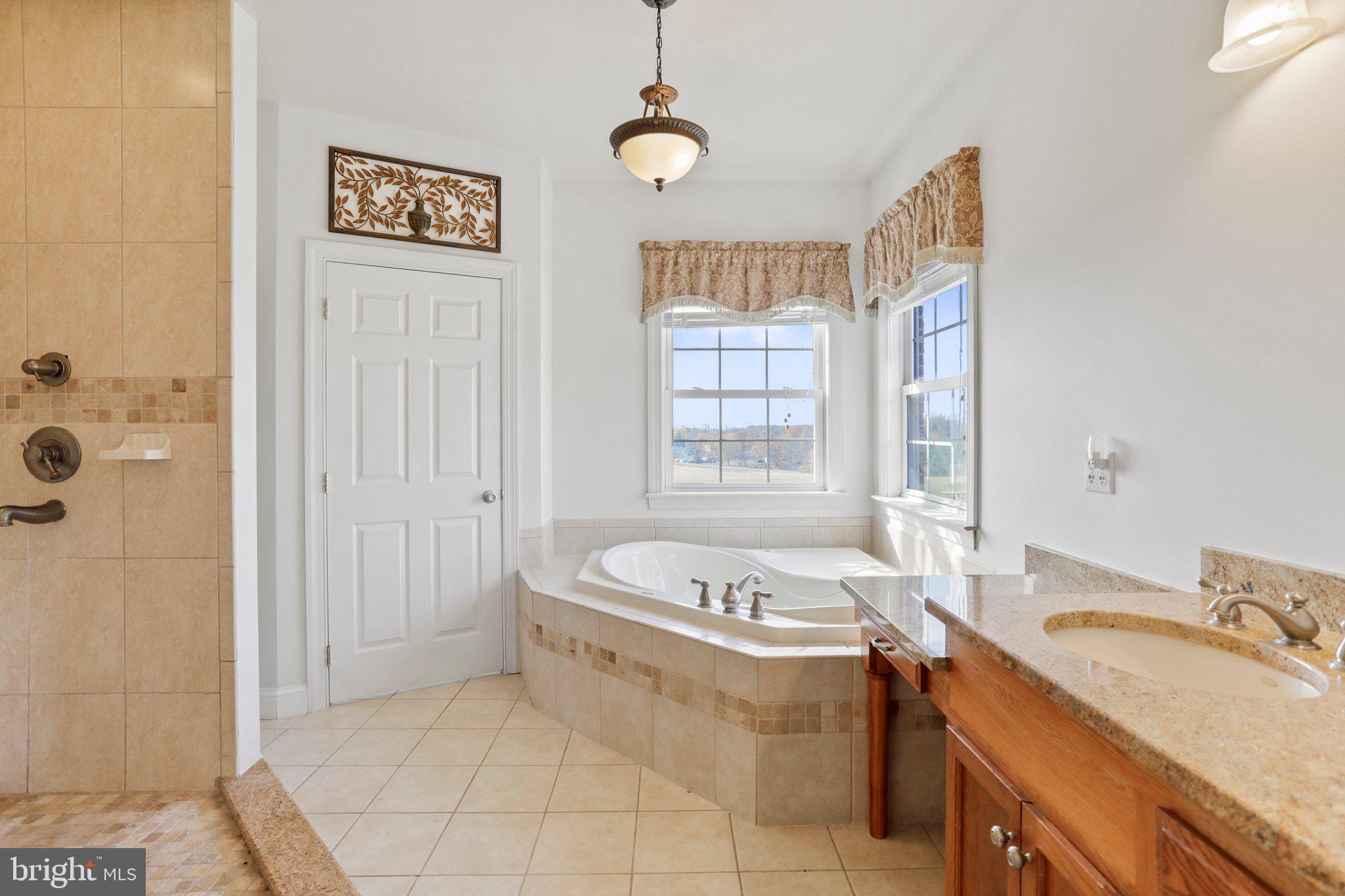 1252 Rittenour Road Edinburg, VA 22824 - Photo 32 of 63 Primary Bath with large soaking tub and tile