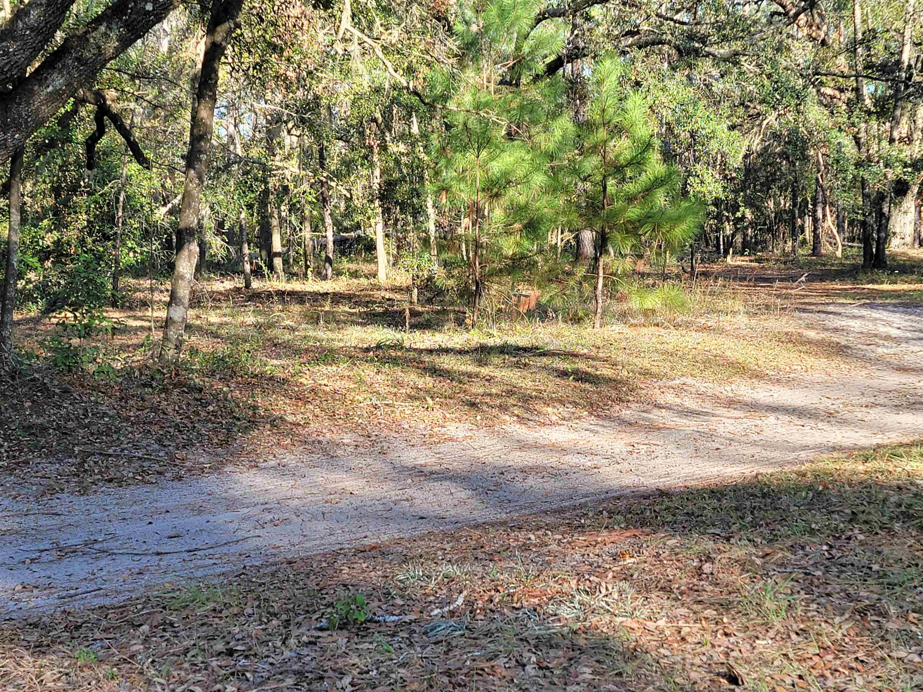 0 Landry Road Perry, FL 32348 - Photo 3 of 7