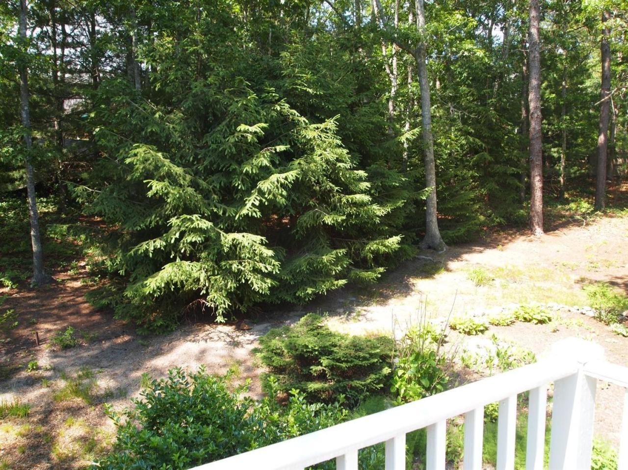 161 Capn Crosby Road Centerville, MA 02632 - Photo 22 of 23 a view of a yard with a tree