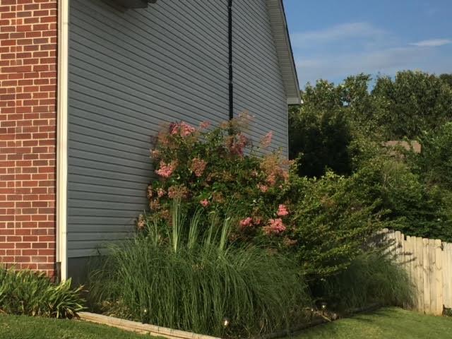 2402 Audelia Way Spring Hill, TN 37174 - Photo 3 of 5 Gallery Image 3