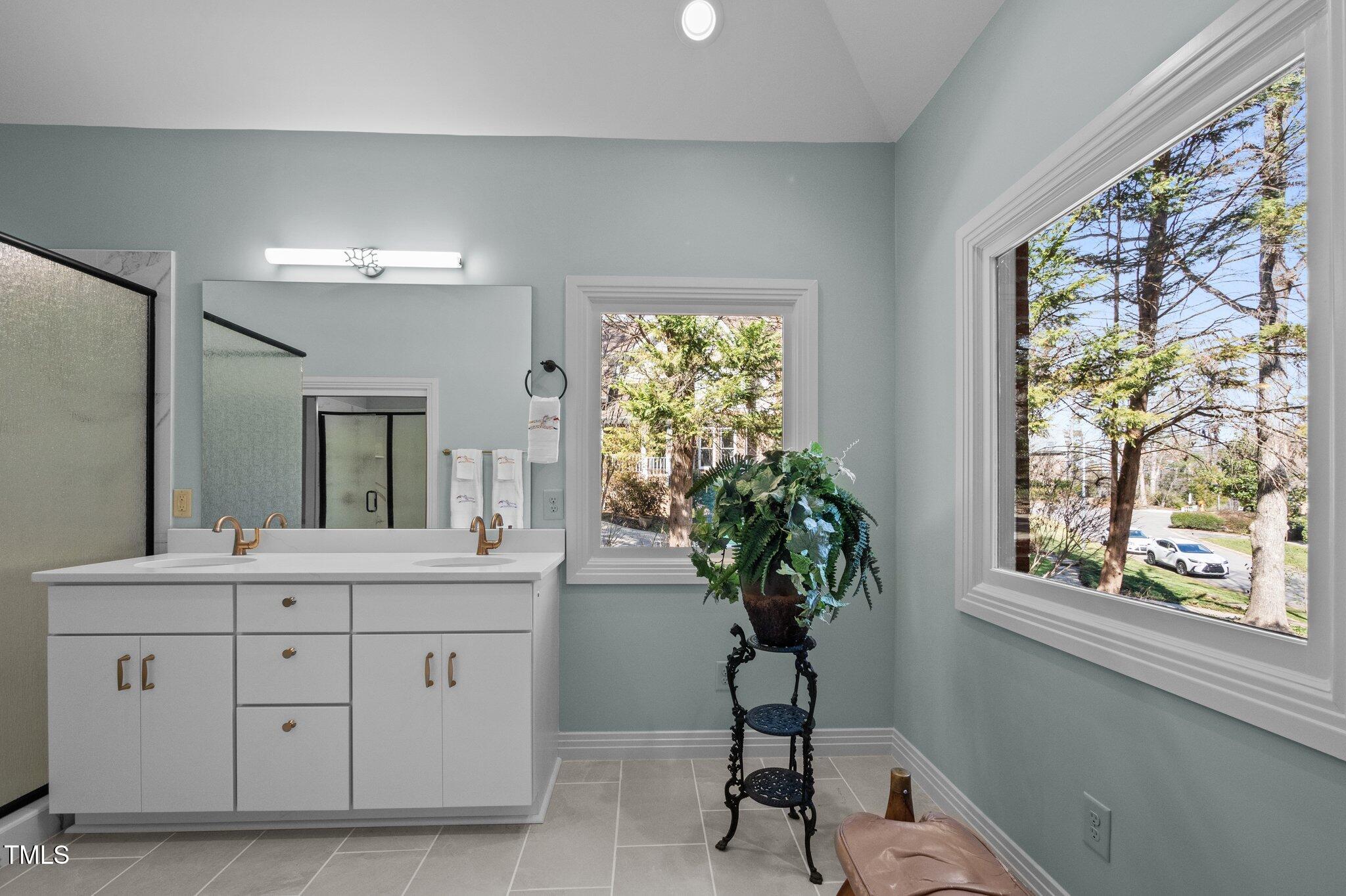 8804 Ross Court Raleigh, NC 27613 - Photo 19 of 38 a bathroom with a sink a vanity and a potted plant