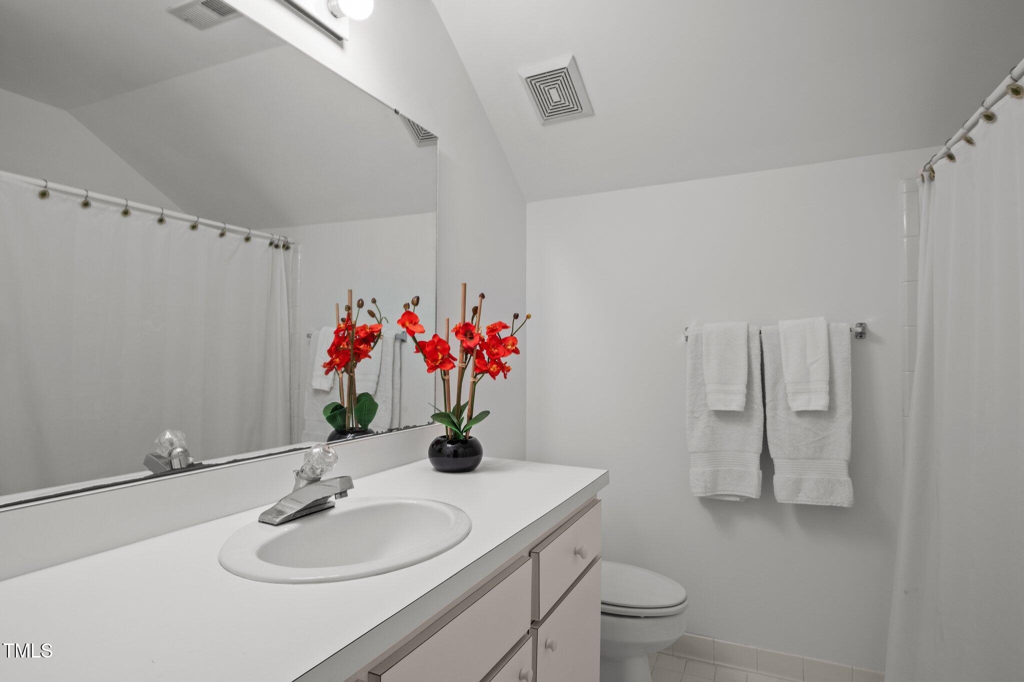 8804 Ross Court Raleigh, NC 27613 - Photo 31 of 38 a bathroom with a sink vanity mirror and toilet