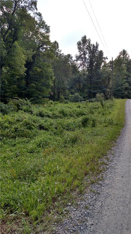 2 Long Branch Road Ranger, GA 30734 - Photo 1 of 1