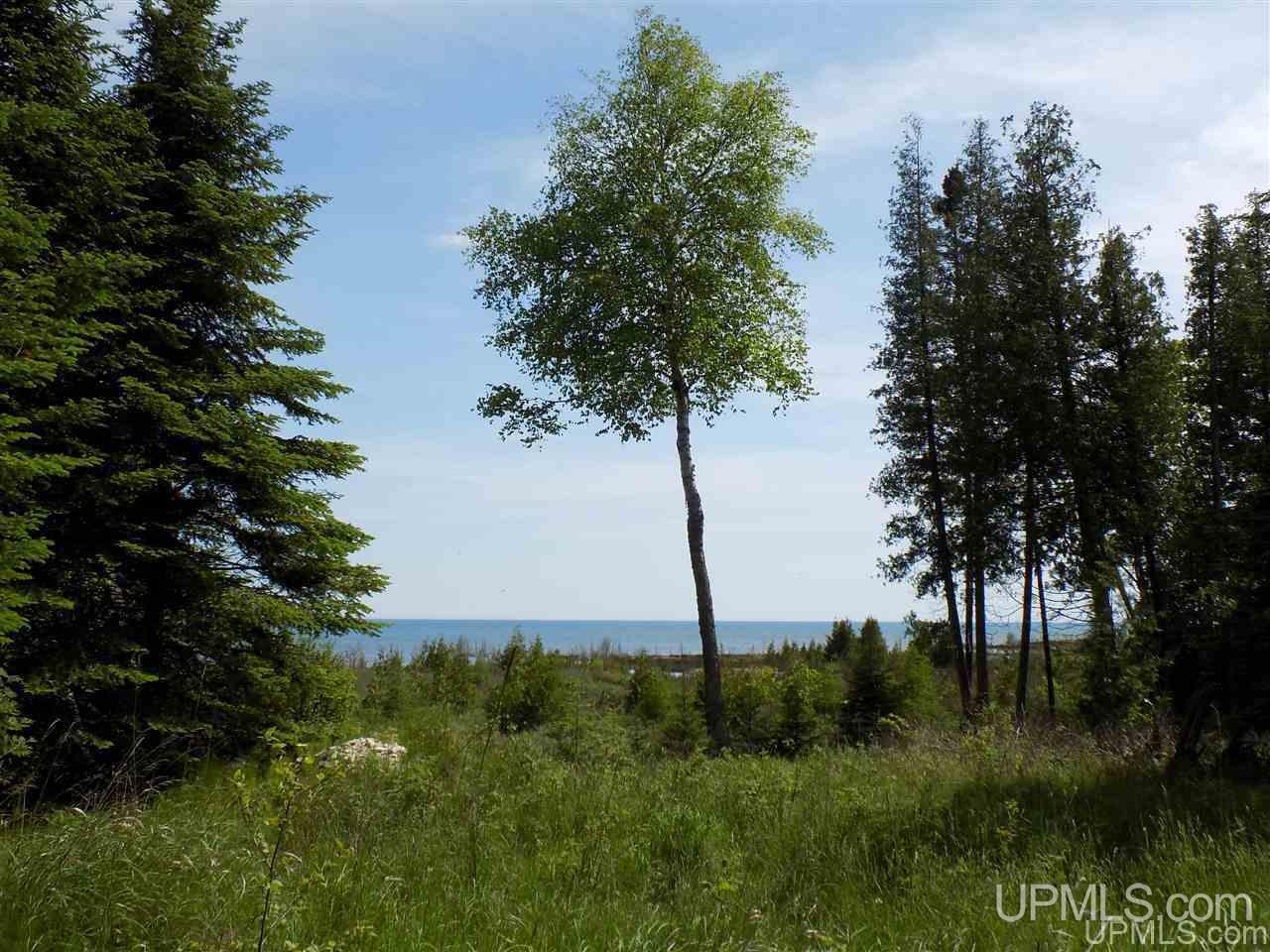 Tbd Miller Point Road Manistique, MI 49854 - Photo 1 of 18