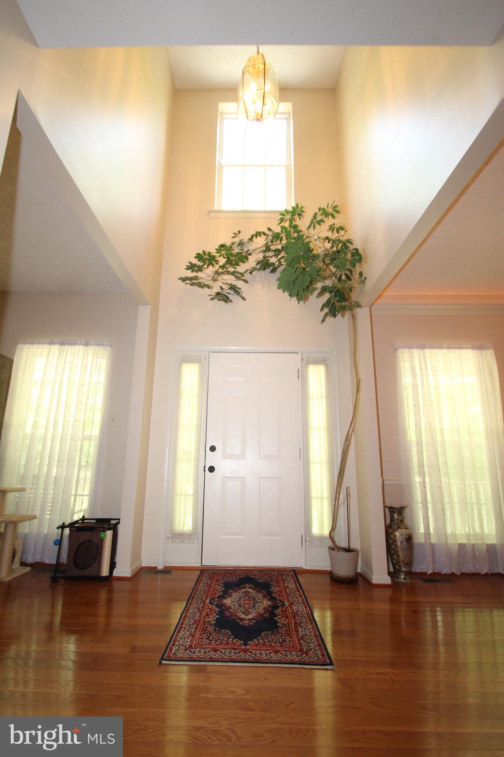 438 Goosemar Road Rising Sun, MD 21911 - Photo 3 of 24 2 story foyer