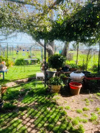 a garden view with a seating space