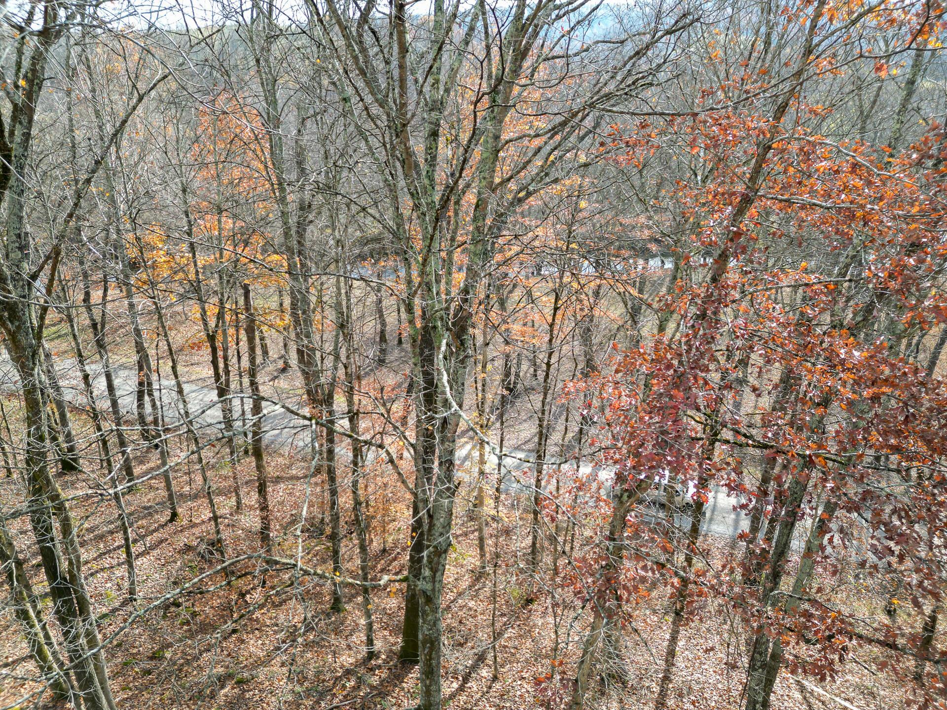 0 Keystone Road, Unit CREEKVIEW CABIN) Vinton, OH 45686 - Photo 78 of 95 CT-78
