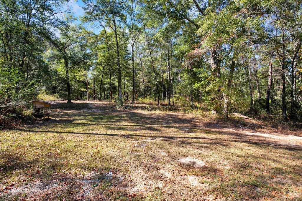 975 Webb To Kinsey Road Webb, AL 36376 - Photo 13 of 56