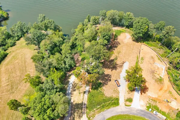 a view of a garden with plants