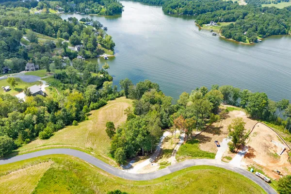 a view of a yard with plants and trees