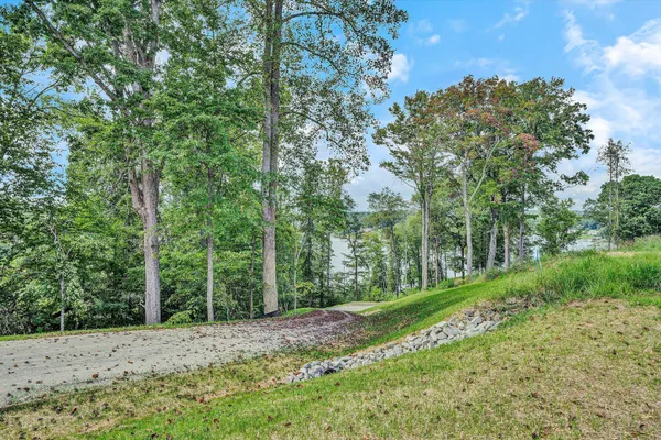 a view of a road with a trees