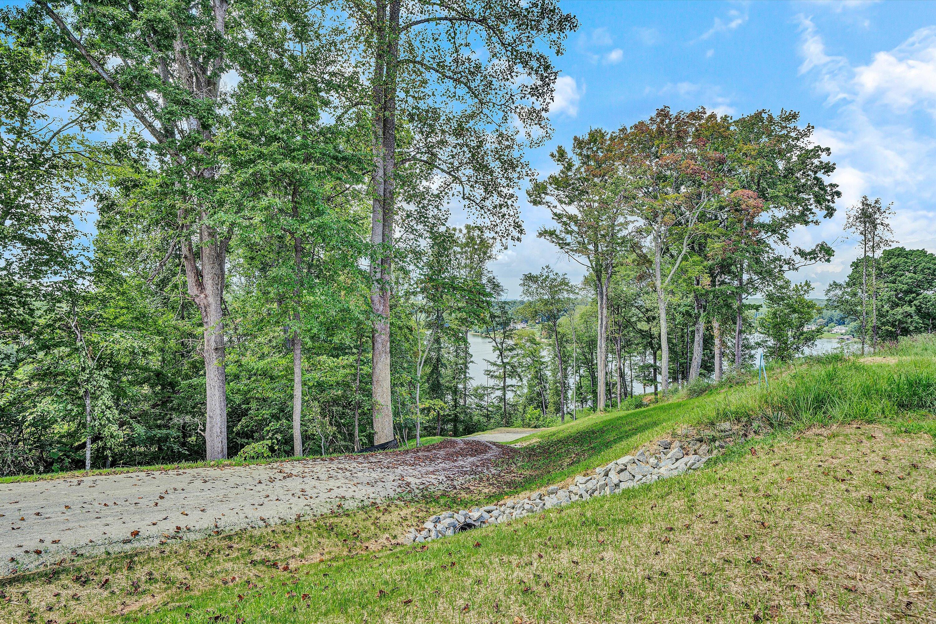 Lot 22 Cliffs Drive Union Hall, VA 24176 - Photo 8 of 19 a view of a yard with plants and trees