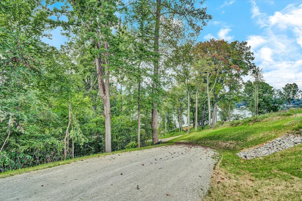 a sign that is sitting in the grass near a tree