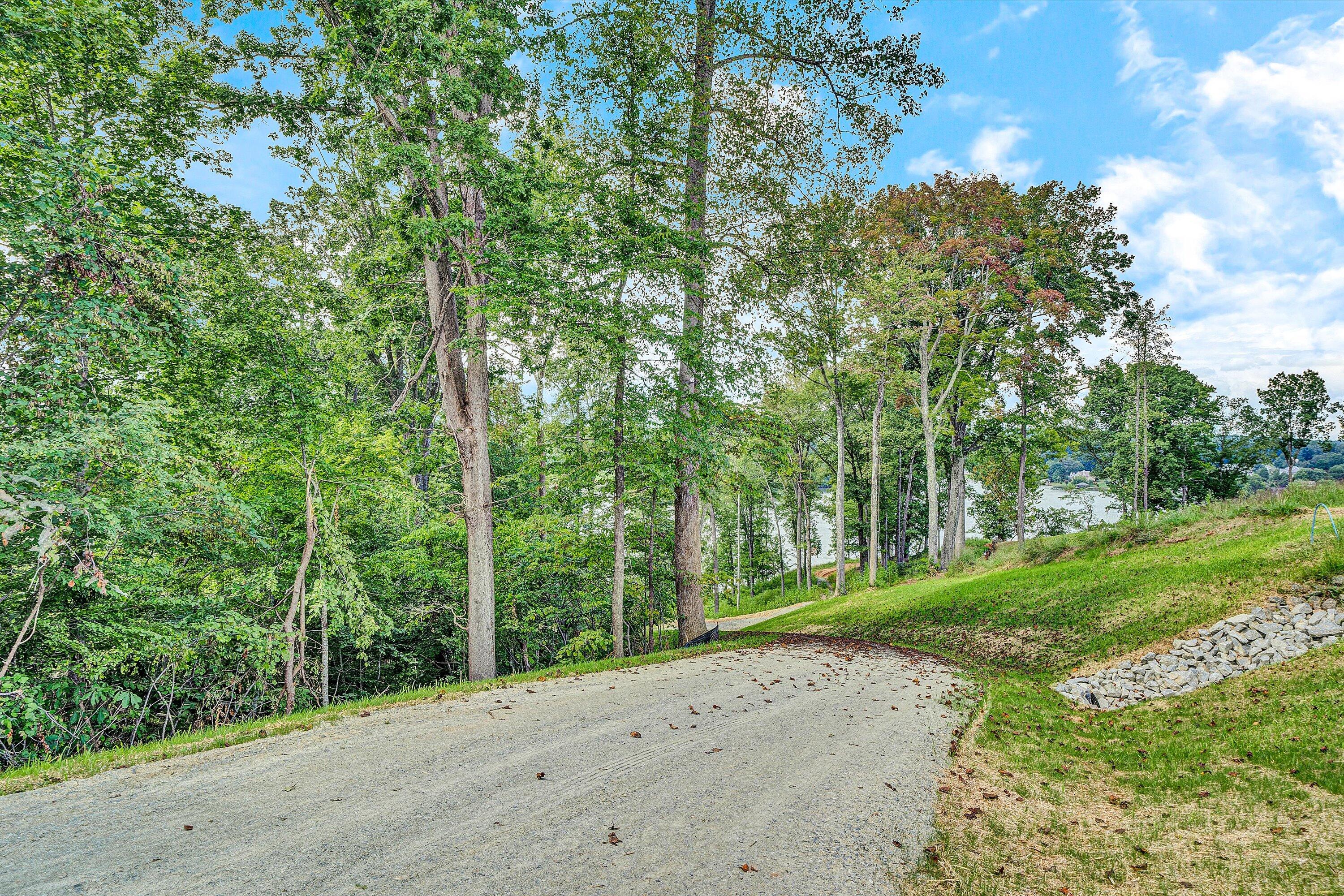 Lot 22 Cliffs Drive Union Hall, VA 24176 - Photo 9 of 19 a view of a road with a trees
