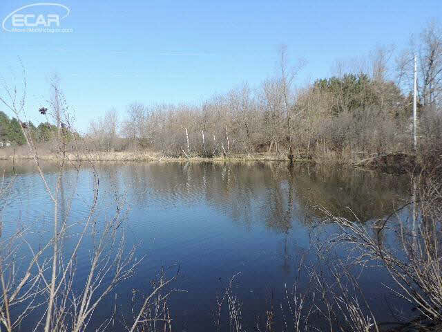 6441 Washburn Road Goodrich, MI 48438 - Photo 2 of 5