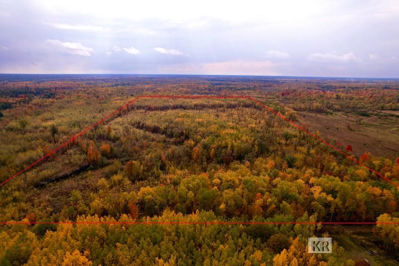80-acres Wieman Road Gladwin, MI 48624 - Photo 3 of 28 Gallery Image 3