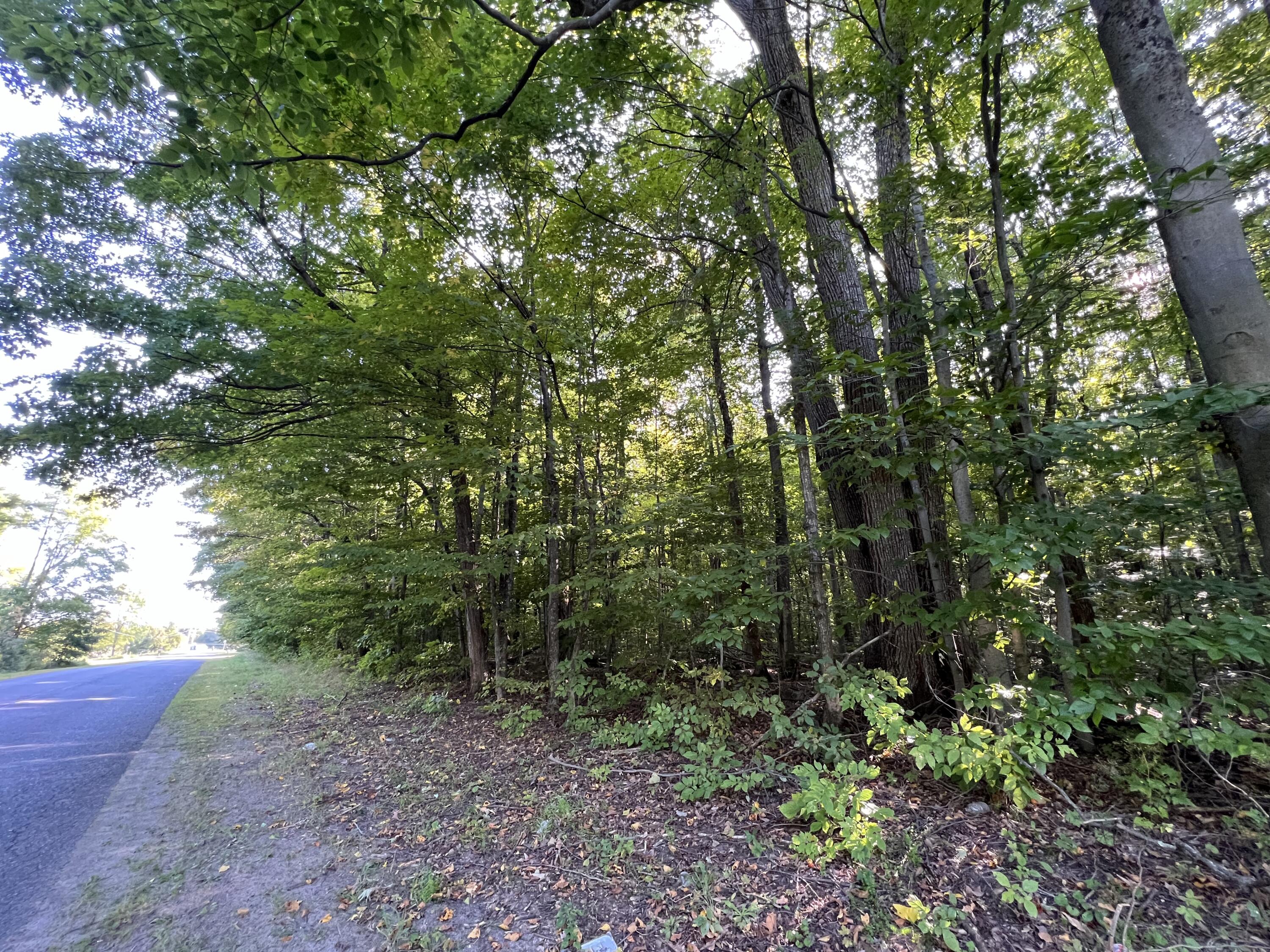0 Parker Road West Chazy, NY 12992 - Photo 1 of 11 Gallery Image 1