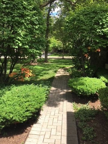a view of a garden with a bench