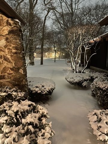 a view of a wooden floor with a tree