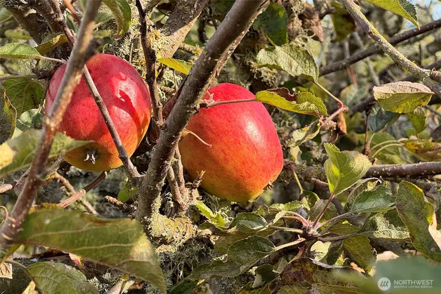 a view of a swimming pool with a yard