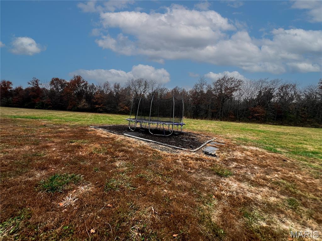 1491 Burge Road Centralia, IL 62801 - Photo 18 of 56