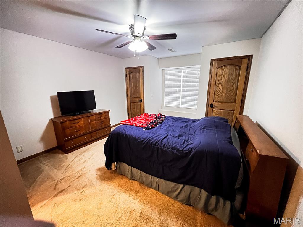 1491 Burge Road Centralia, IL 62801 - Photo 36 of 56