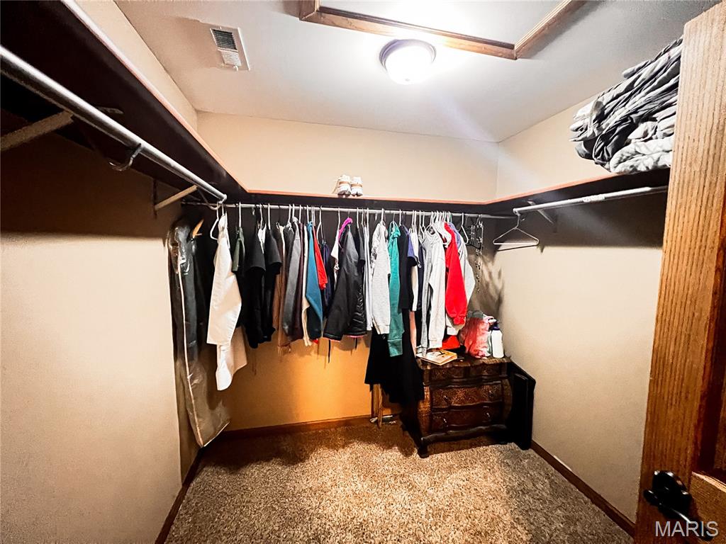 1491 Burge Road Centralia, IL 62801 - Photo 45 of 56