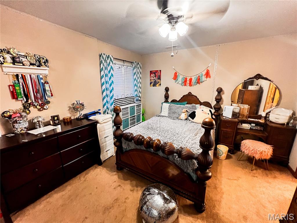 1491 Burge Road Centralia, IL 62801 - Photo 50 of 56