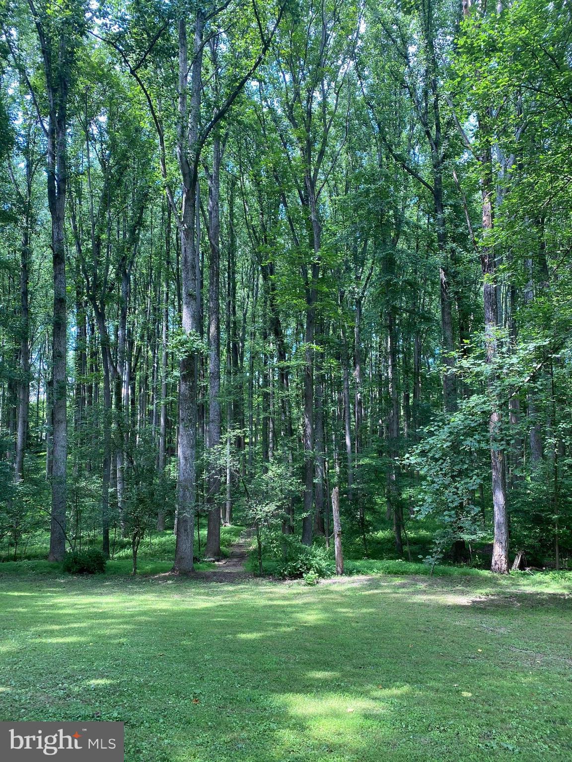 642 Springvale Road Great Falls, VA 22066 - Photo 2 of 44 Trail head at the back of the property