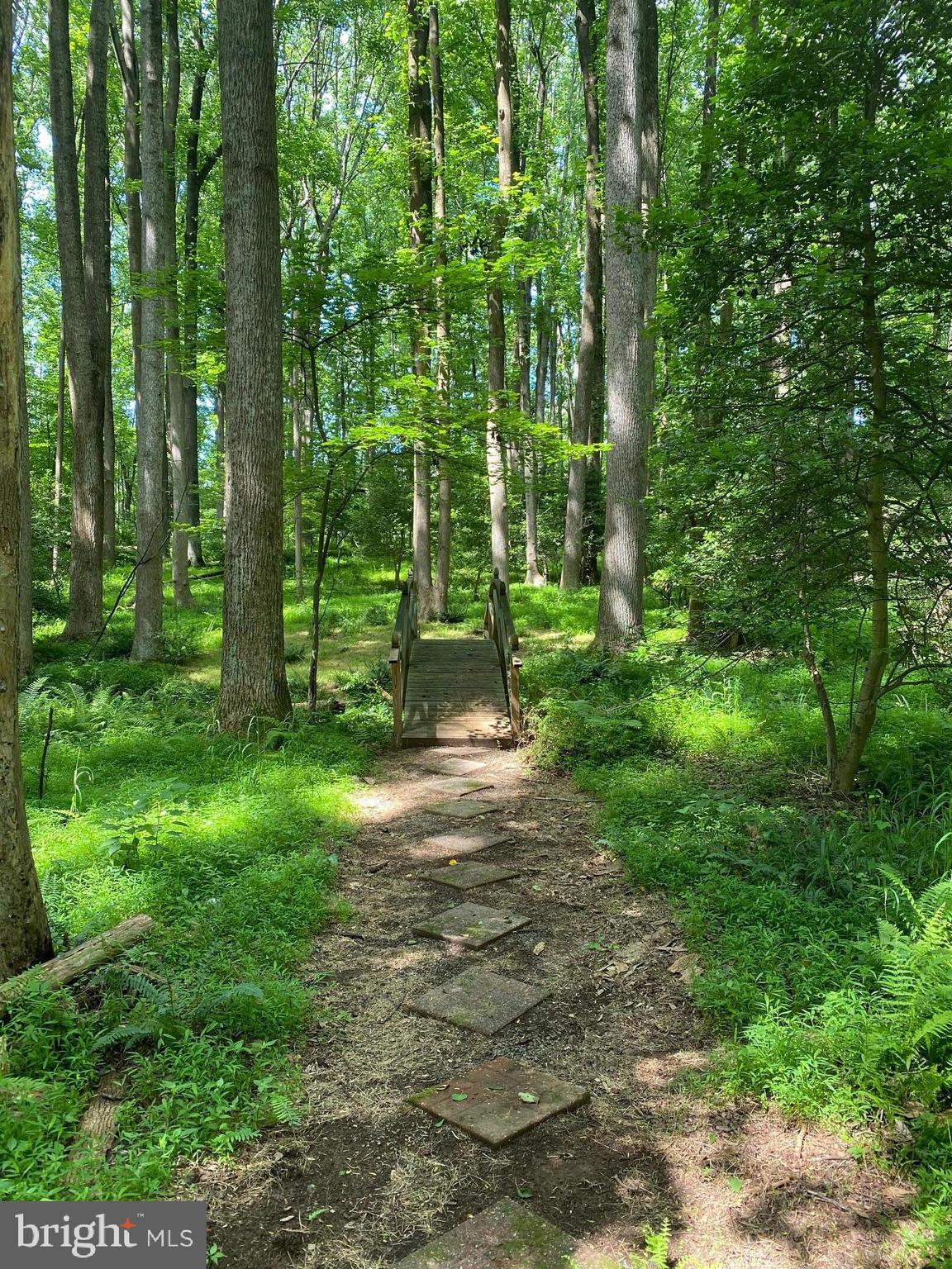 642 Springvale Road Great Falls, VA 22066 - Photo 4 of 44 Bridge over creek