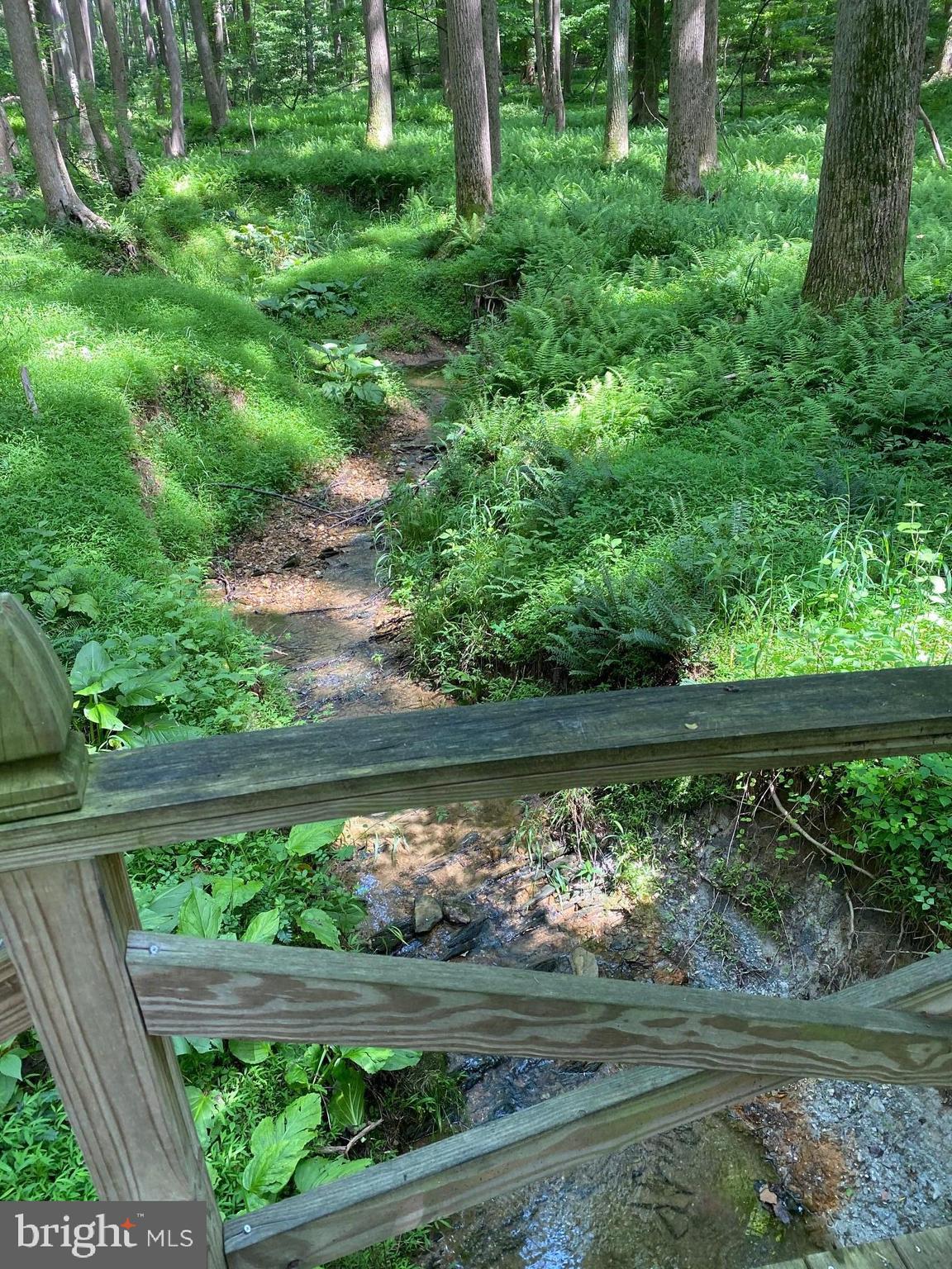 642 Springvale Road Great Falls, VA 22066 - Photo 5 of 44