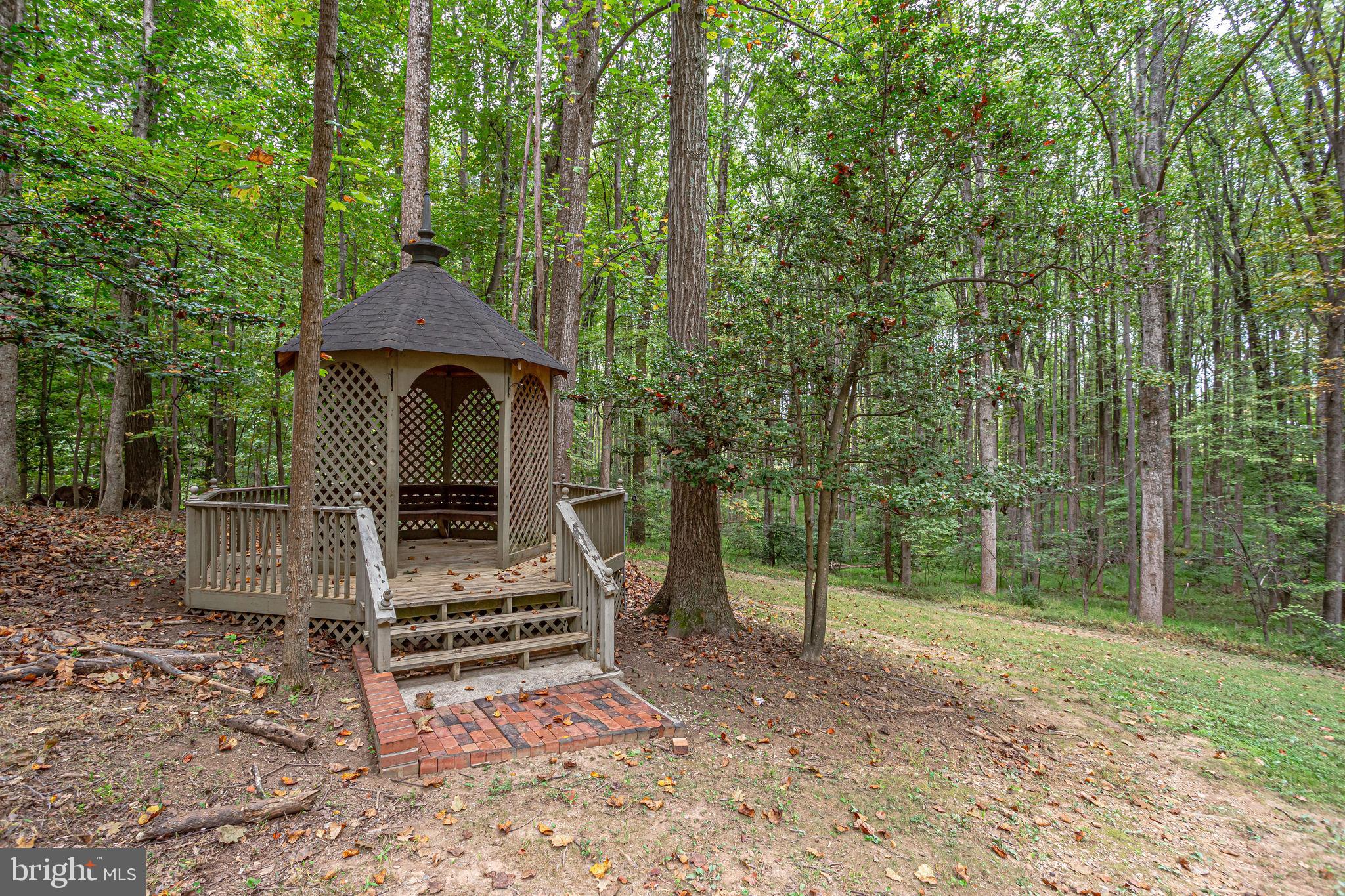 642 Springvale Road Great Falls, VA 22066 - Photo 41 of 44 Secluded among wooded backyard