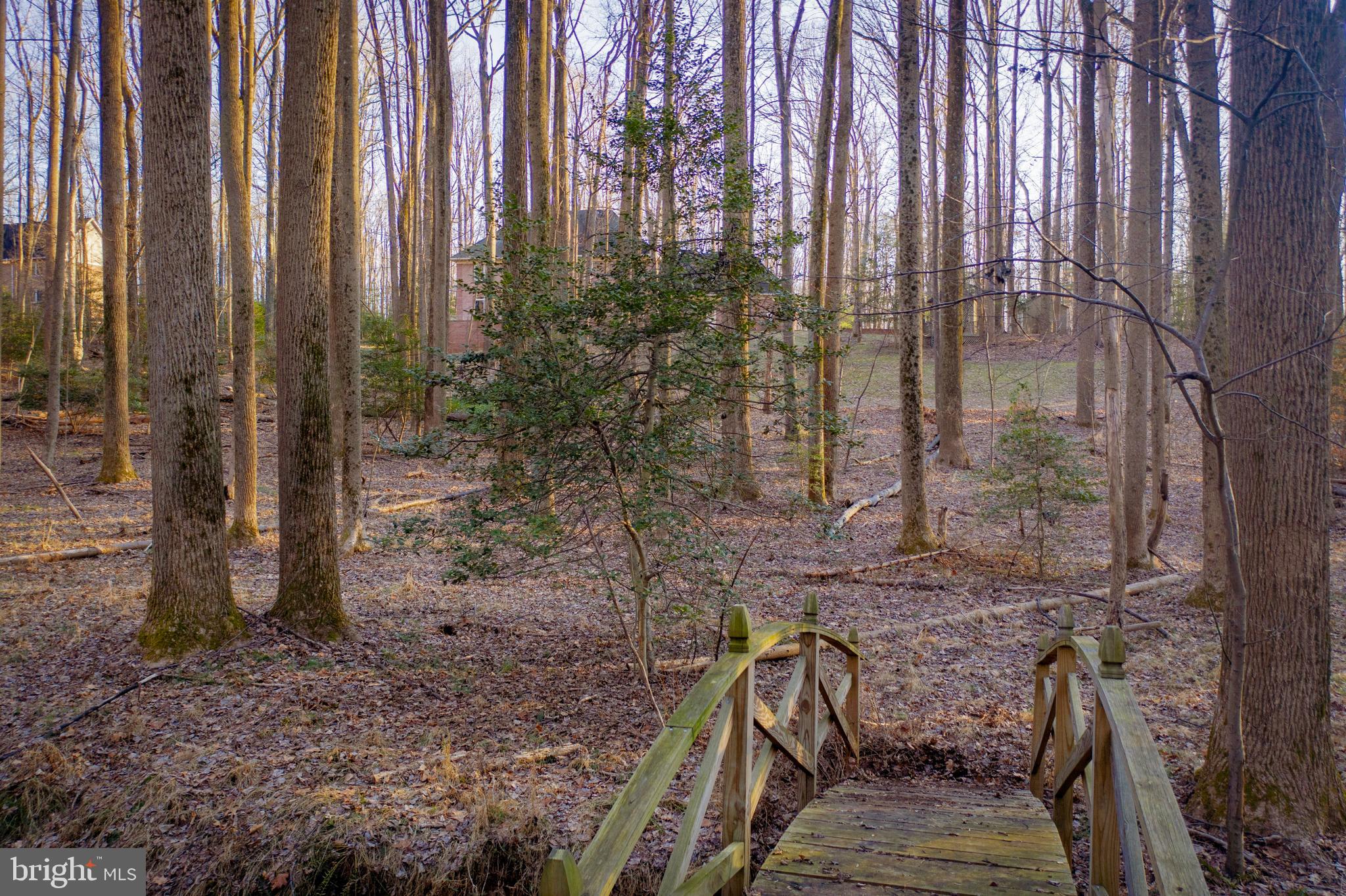 642 Springvale Road Great Falls, VA 22066 - Photo 42 of 44