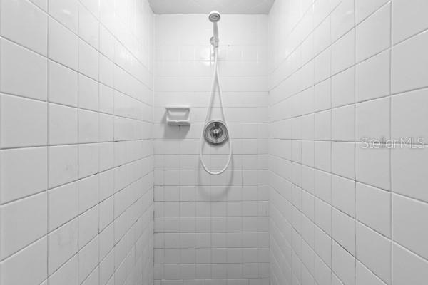 1404 East Alfred Street Tavares, FL 32778 - Photo 18 of 38 a bathroom with a shower