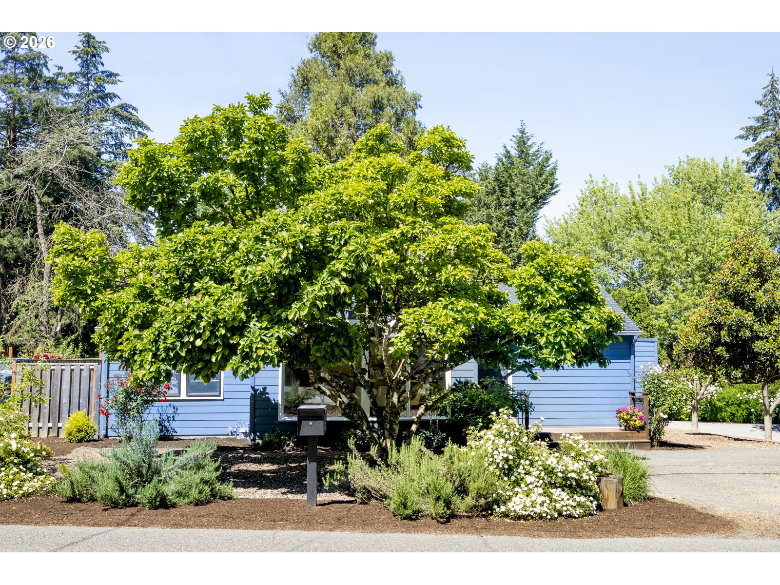 11207 Southwest 53rd Avenue Portland, OR 97219 - Photo 2 of 44
