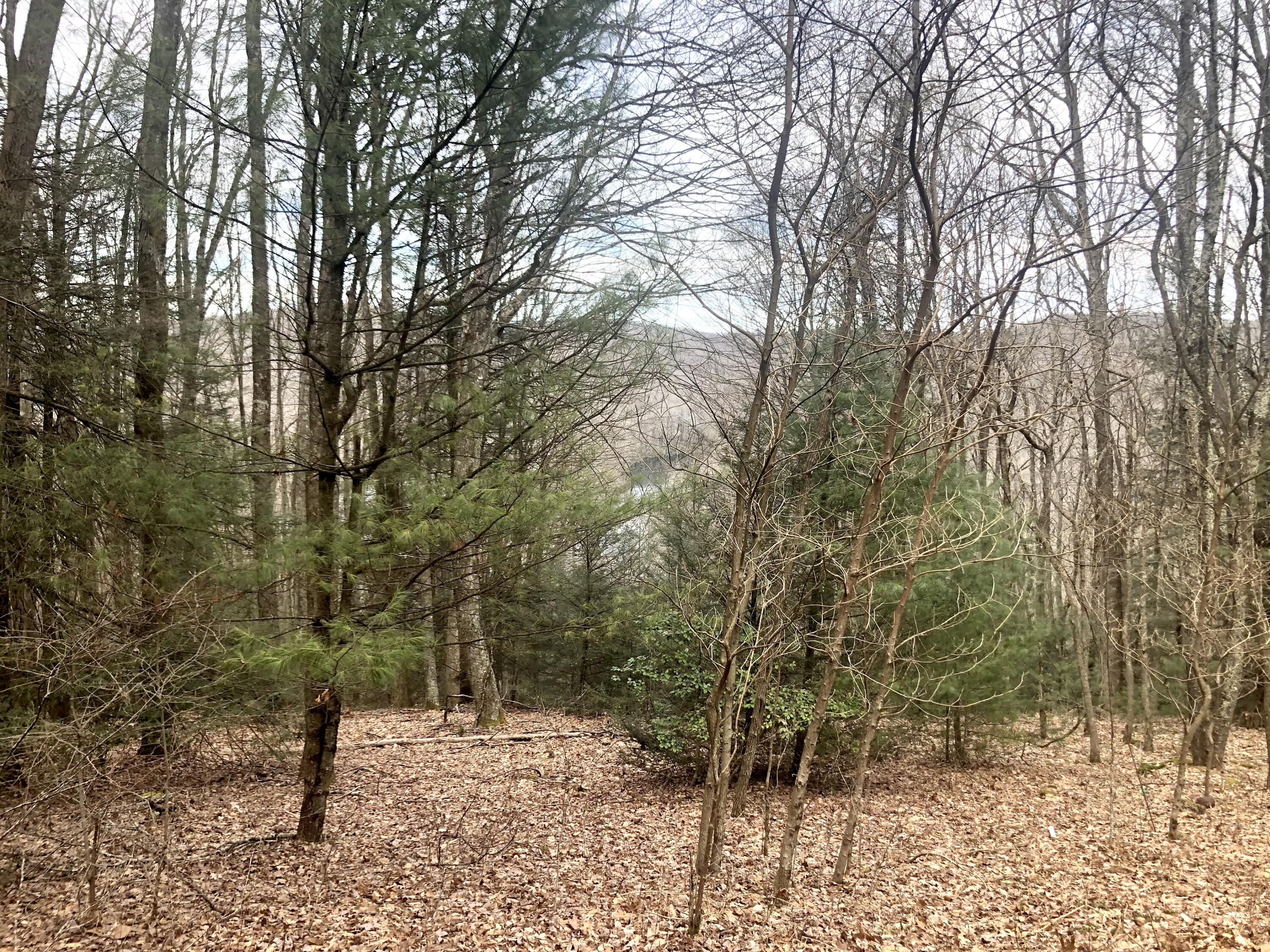 4446 Sentry Road Big Stone Gap, VA 24219 - Photo 11 of 22 3599C1AE-0F94-4159-AADC-C1F8E8CF3D34
