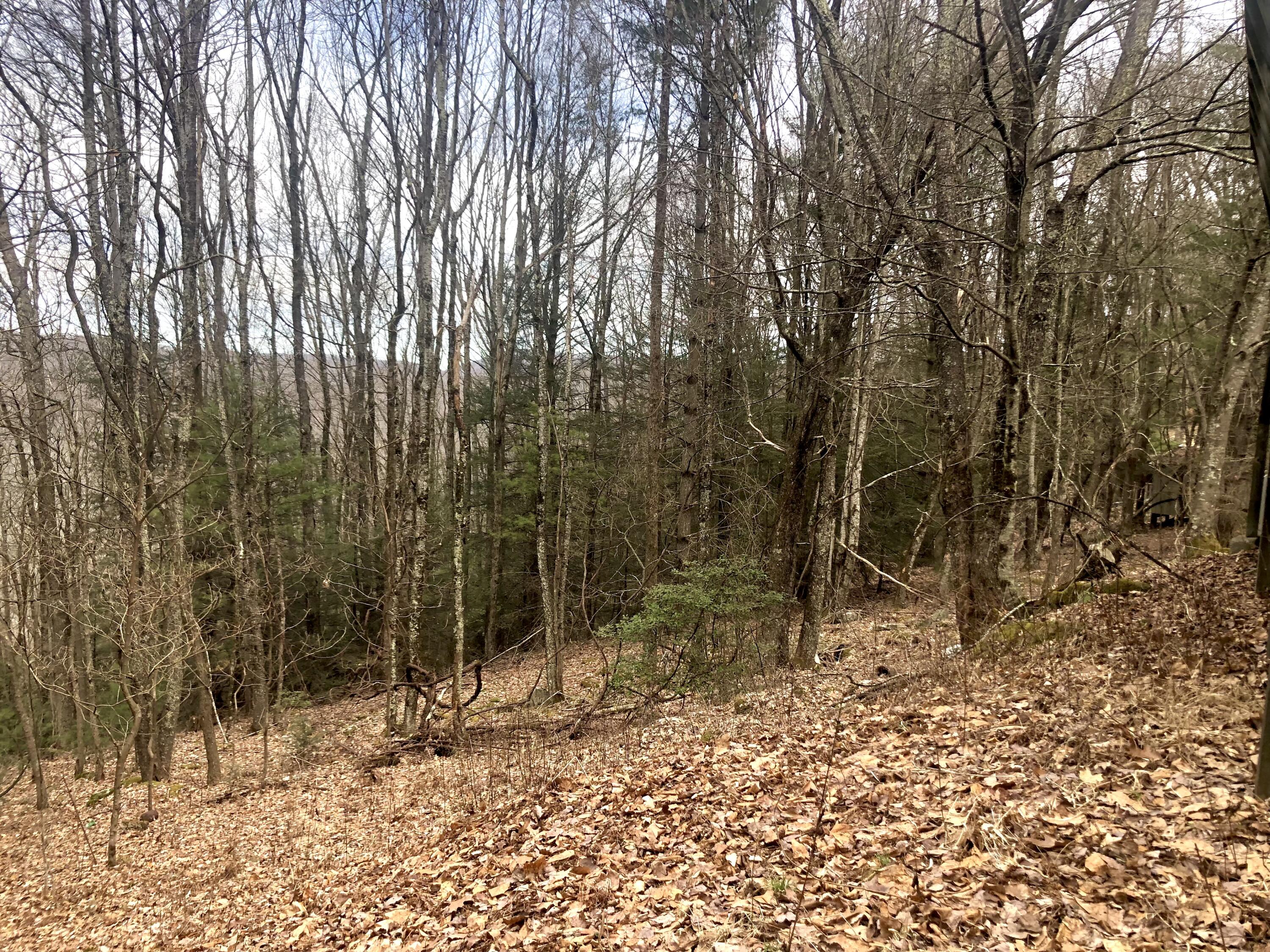 4446 Sentry Road Big Stone Gap, VA 24219 - Photo 12 of 22 12ABCDE6-8D56-4C9D-AF99-F12E6CEE22A1