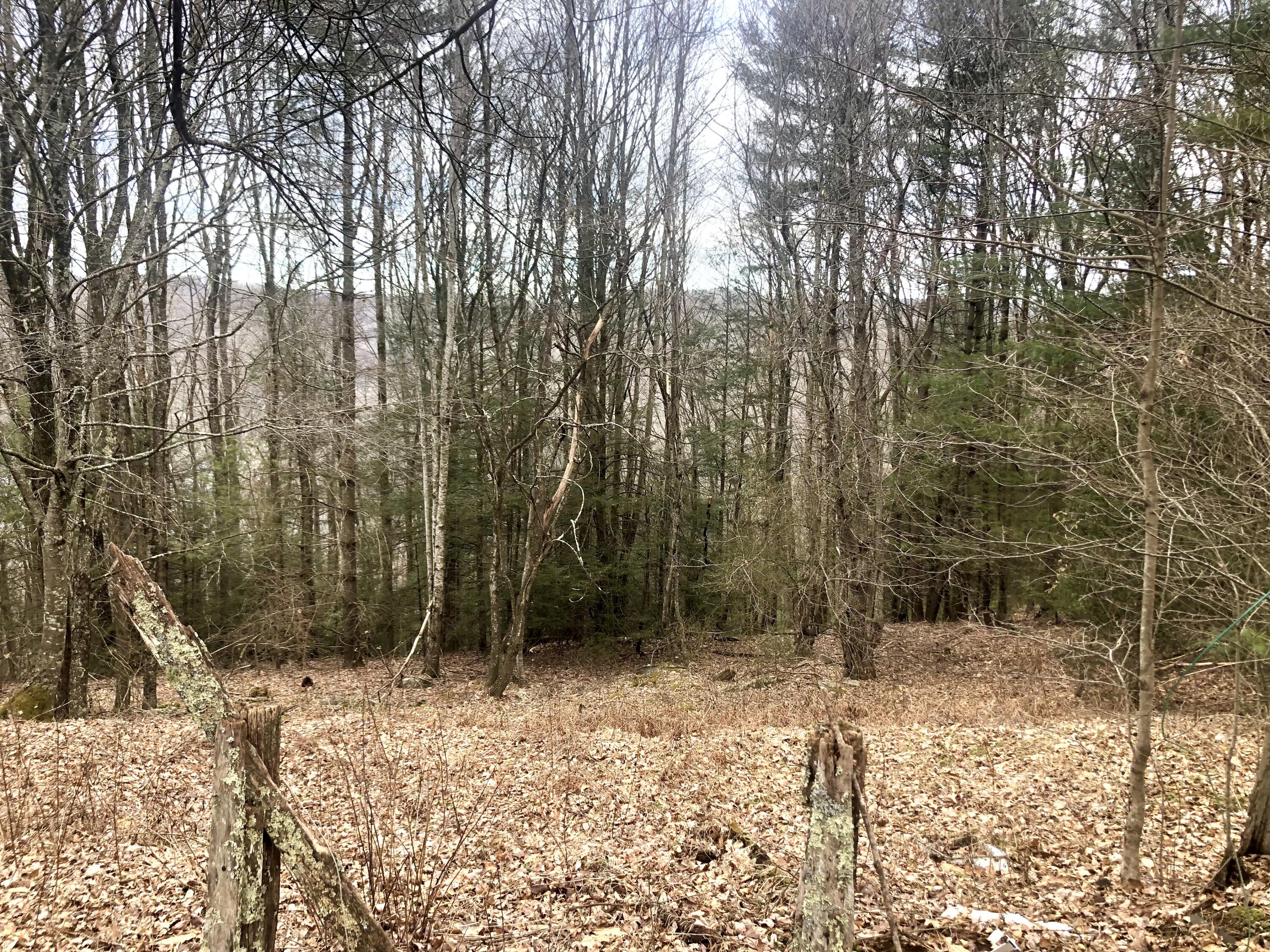 4446 Sentry Road Big Stone Gap, VA 24219 - Photo 17 of 22 F24EF5A6-B3A9-4A4E-8114-4C3D54879EB0