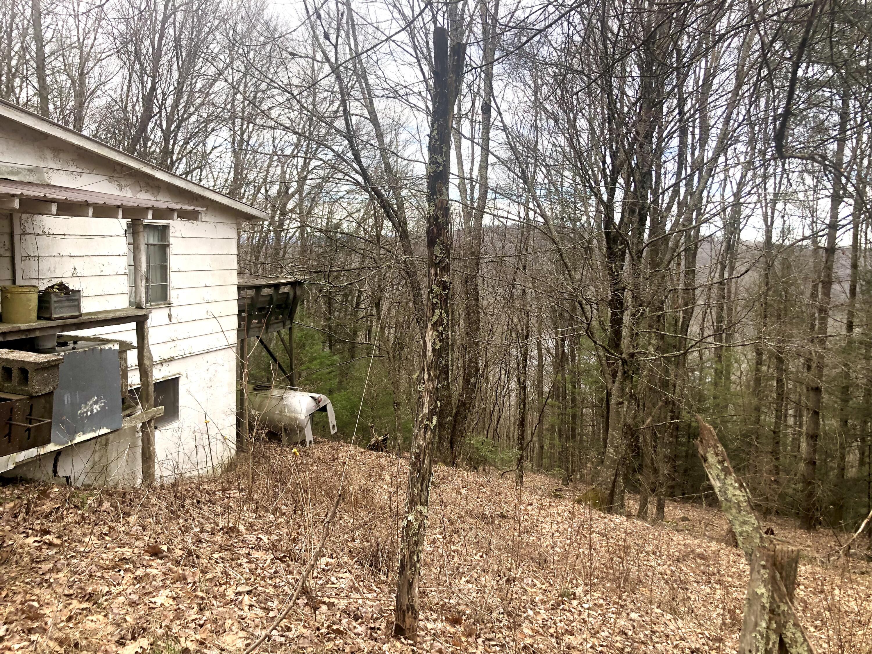 4446 Sentry Road Big Stone Gap, VA 24219 - Photo 18 of 22 7BE879FD-EAB2-40B8-B6FC-854225EC806B