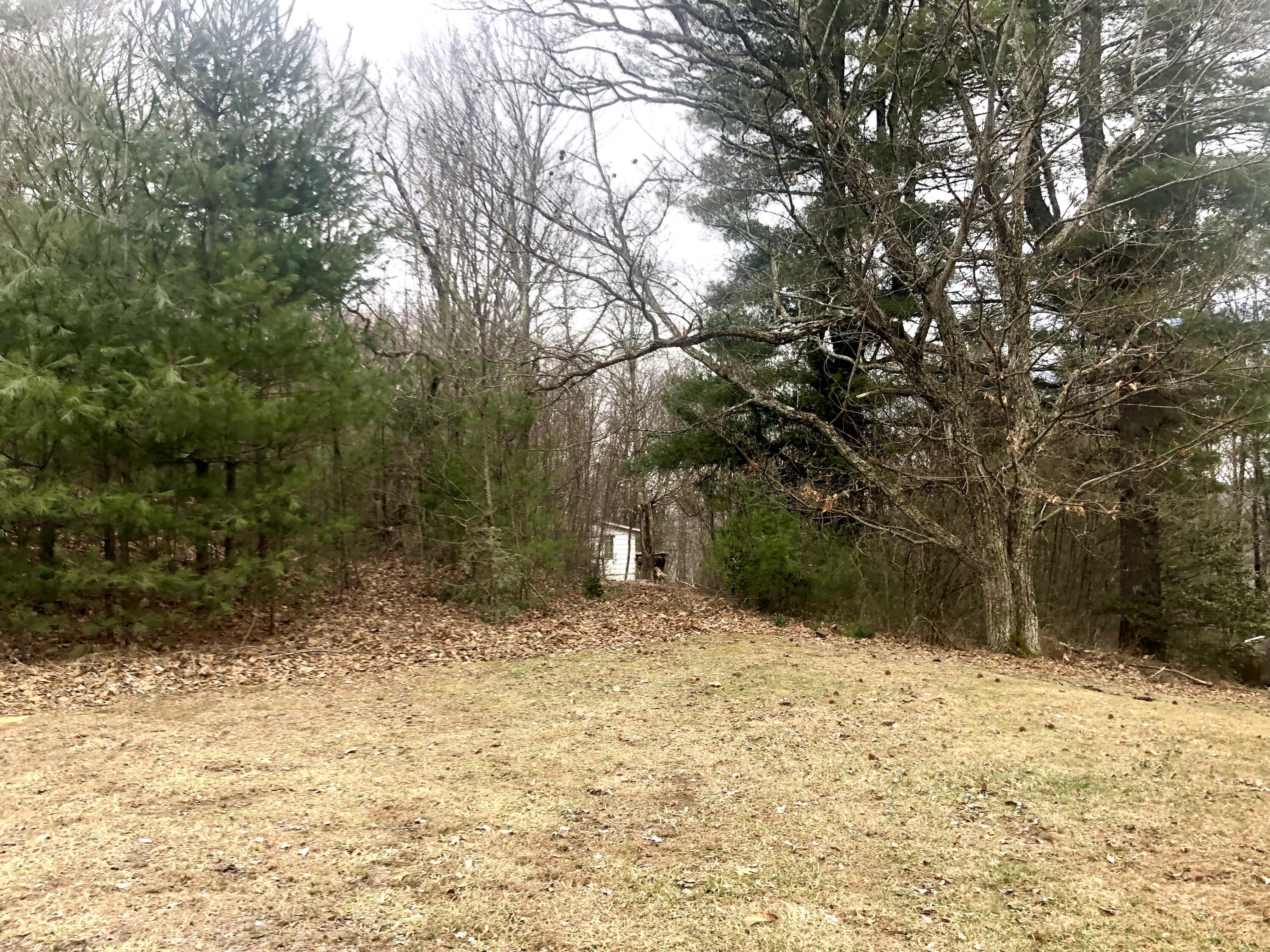 4446 Sentry Road Big Stone Gap, VA 24219 - Photo 19 of 22 780DD028-C833-4100-8B70-766B70CBDB3A