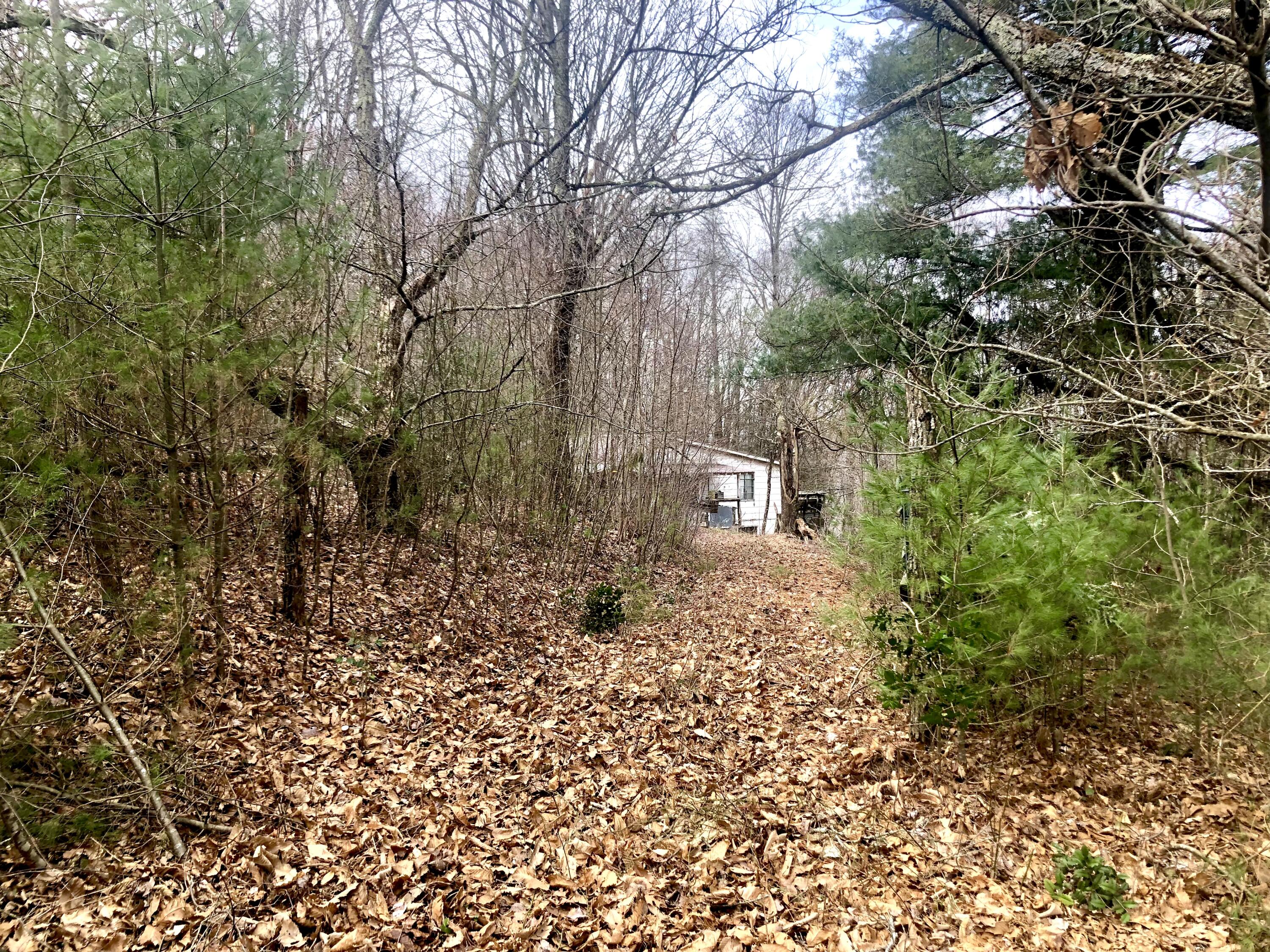 4446 Sentry Road Big Stone Gap, VA 24219 - Photo 5 of 22 56700EB0-E488-4051-97AA-2948EAB15043