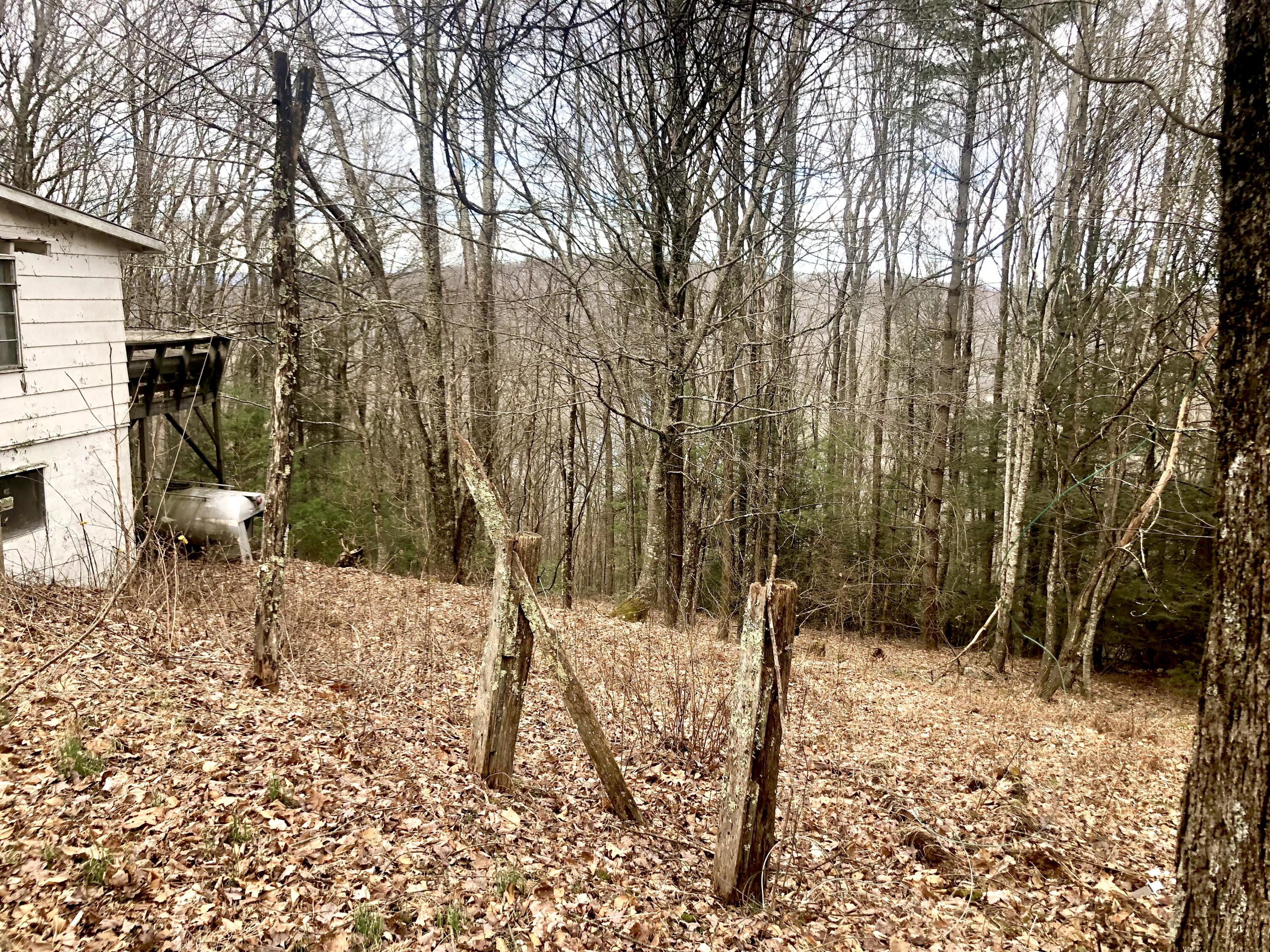 4446 Sentry Road Big Stone Gap, VA 24219 - Photo 6 of 22 7577DB66-8E10-4694-BA36-EA5E5140E50A