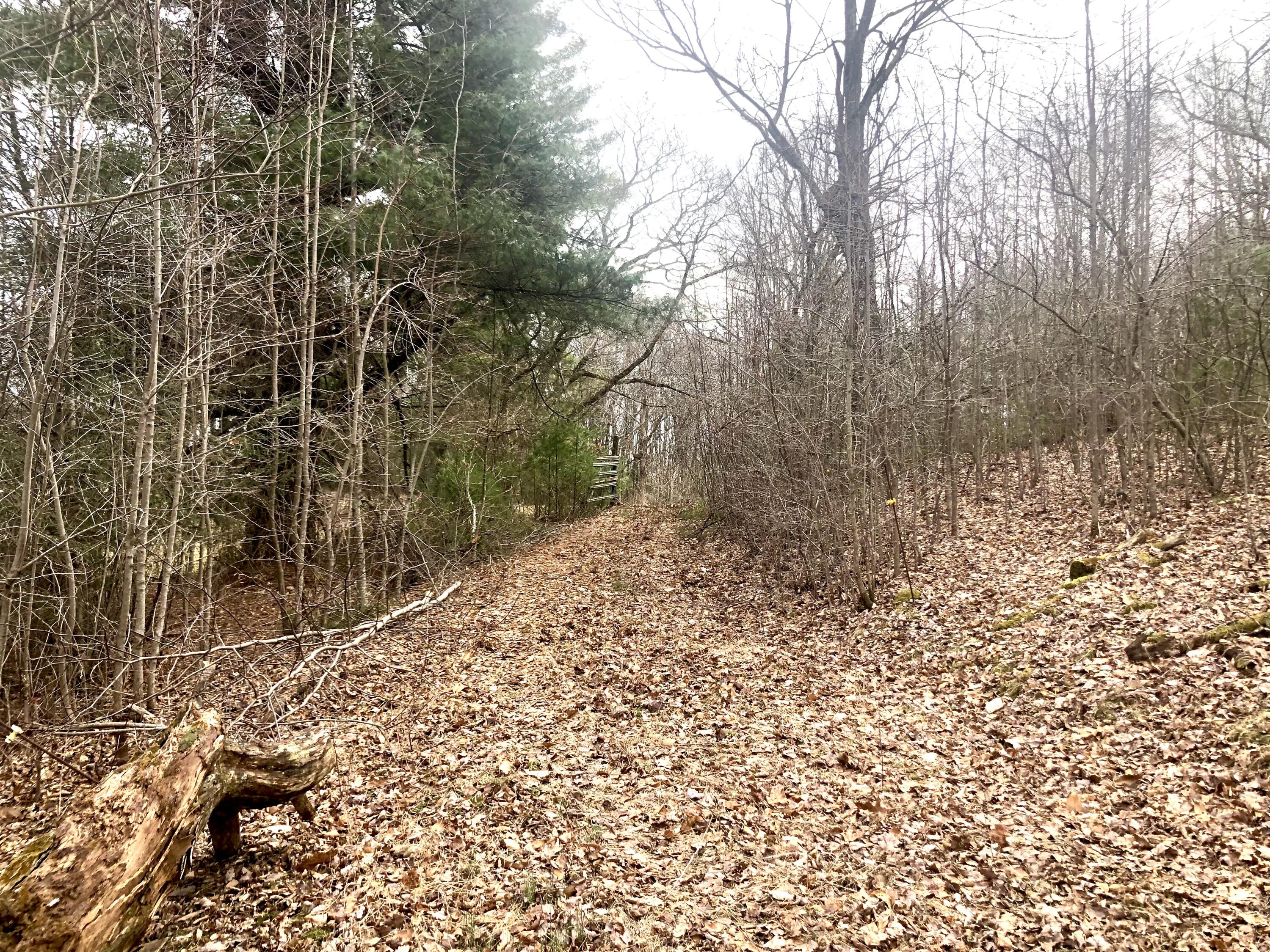 4446 Sentry Road Big Stone Gap, VA 24219 - Photo 7 of 22 069C6767-CAD7-419E-895D-10FA7437D4CF
