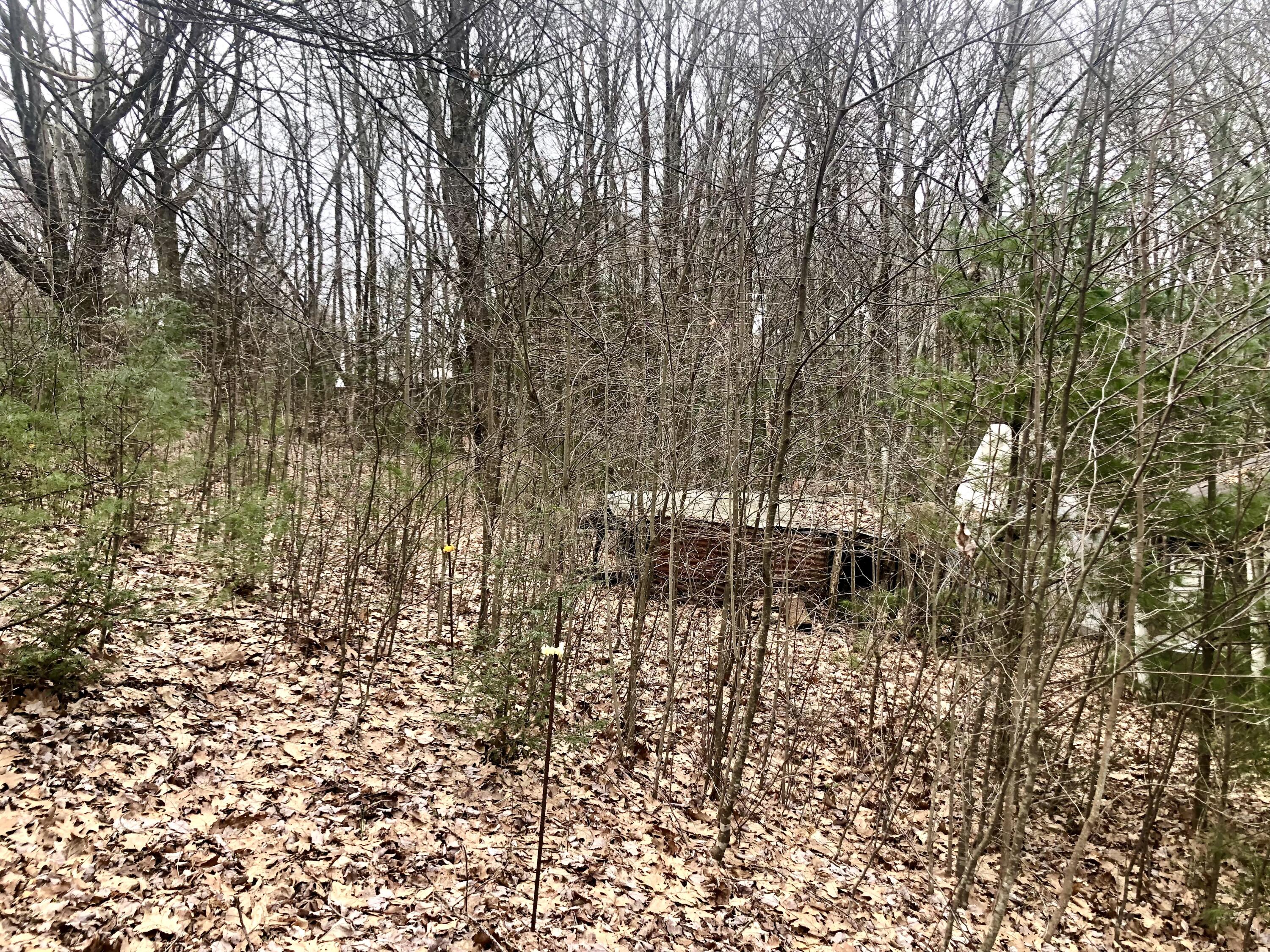 4446 Sentry Road Big Stone Gap, VA 24219 - Photo 8 of 22 9A1D5BE9-758E-4181-A59A-17597A4C5B04