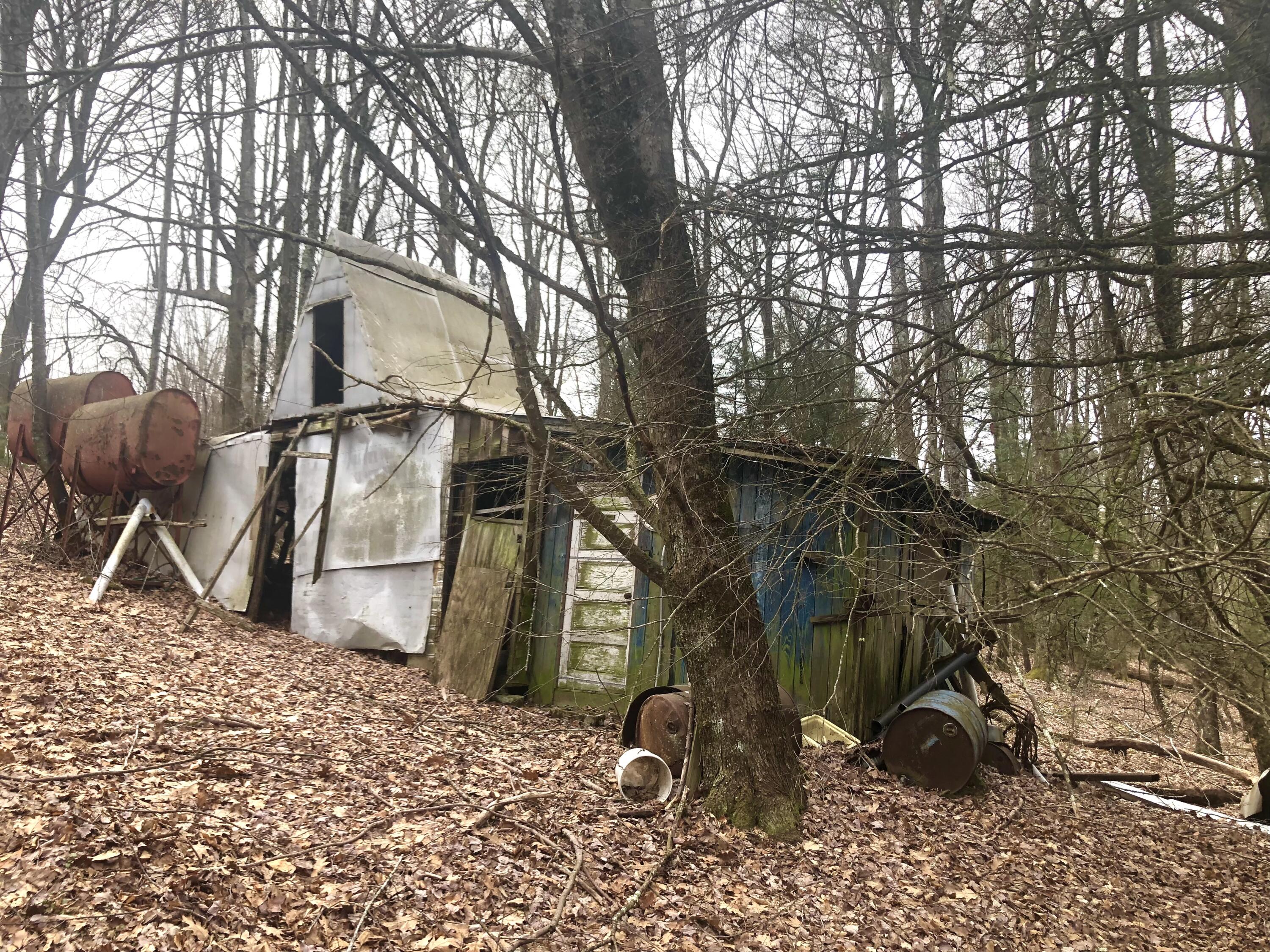 4446 Sentry Road Big Stone Gap, VA 24219 - Photo 10 of 22 25FBDA77-FDB0-4077-ABC3-A85721F24B98