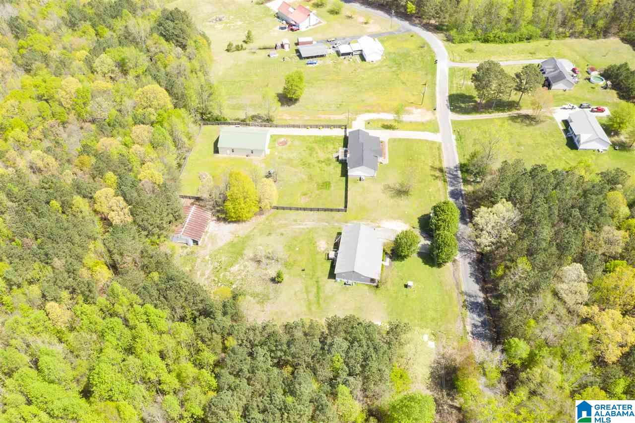 350 Edwards Road Altoona, AL 35952 - Photo 21 of 50