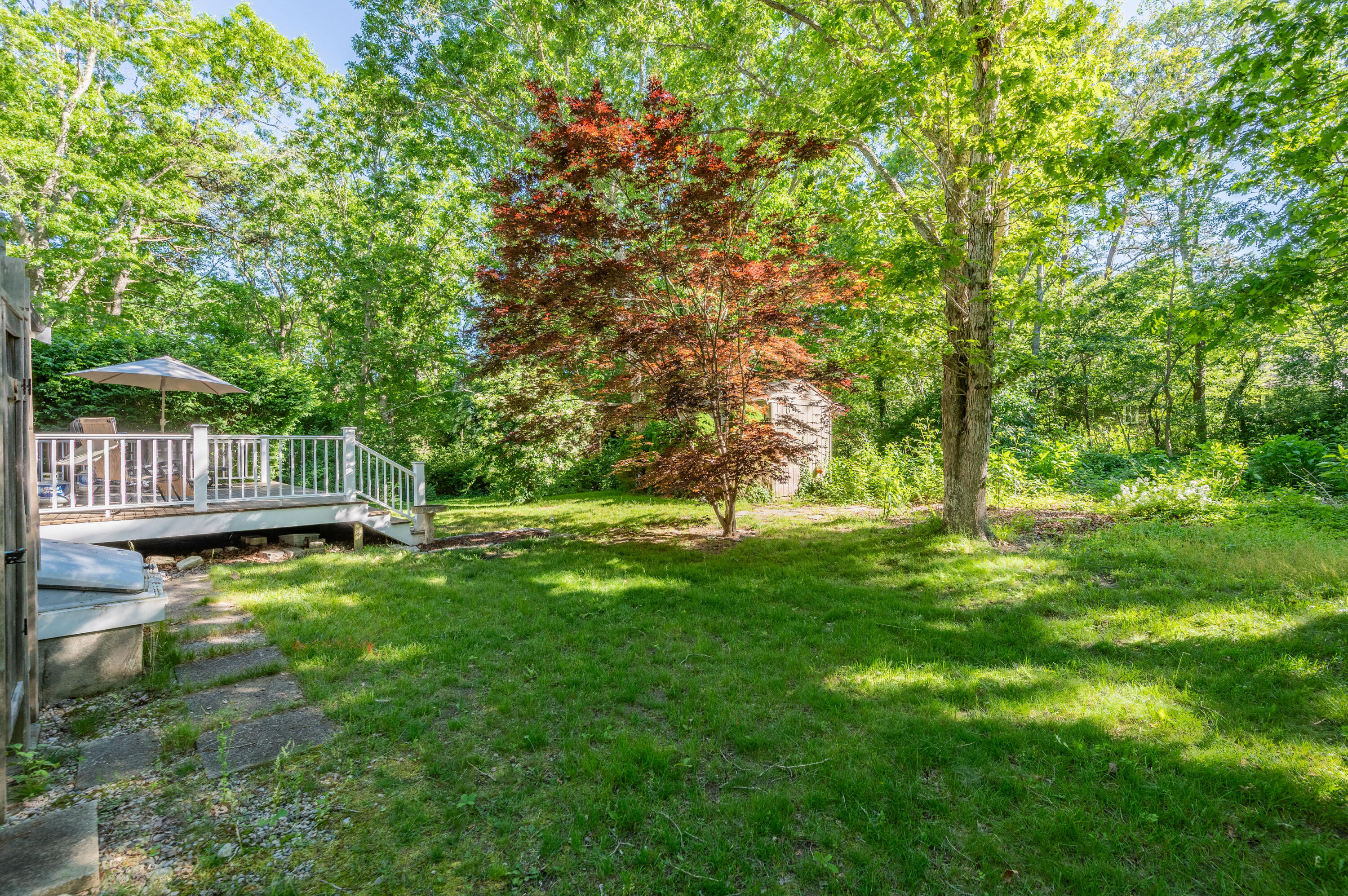 292 Jones Road Marstons Mills, MA 02648 - Photo 30 of 38 a view of backyard with green space