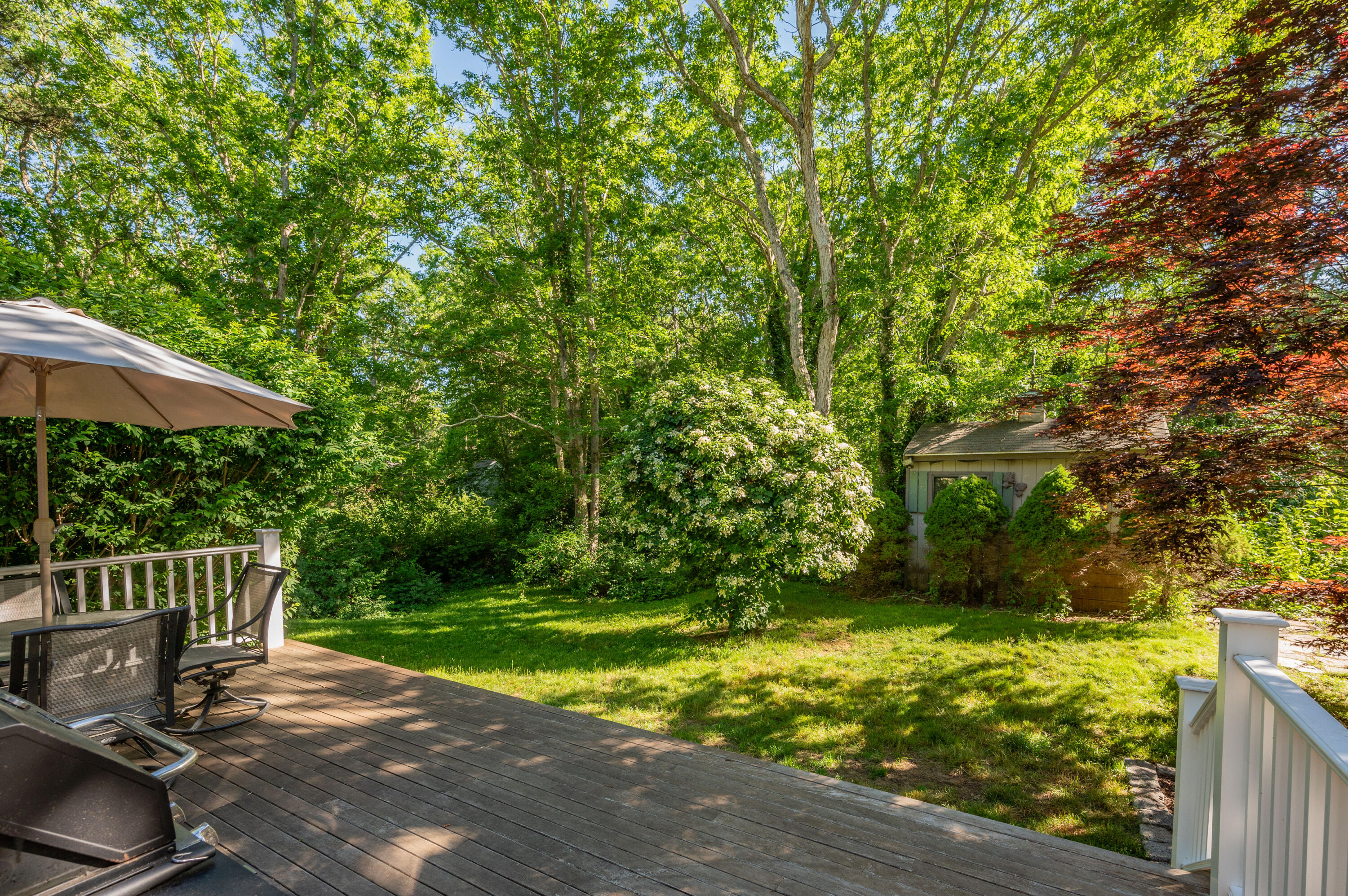 292 Jones Road Marstons Mills, MA 02648 - Photo 31 of 38 a view of backyard with seating space